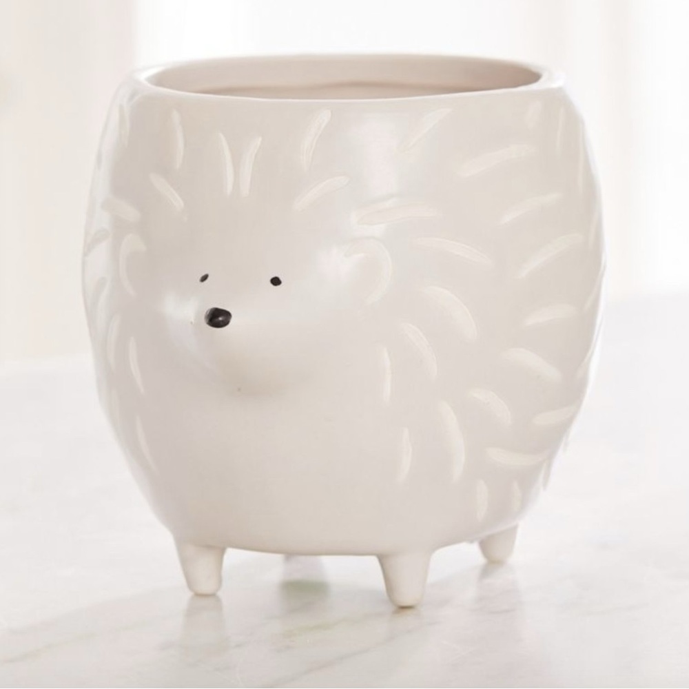 Urban Outfitters Hedgehog Ceramic Mug